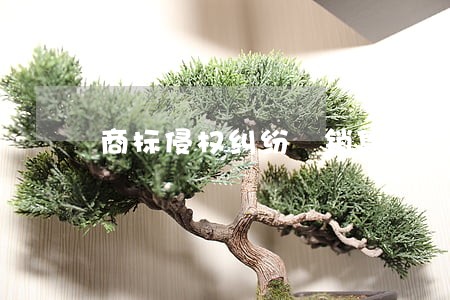 商标侵权纠纷 销售者 商标侵权纠纷 销售者